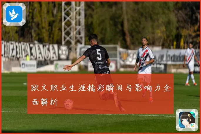 欧文职业生涯精彩瞬间与影响力全面解析