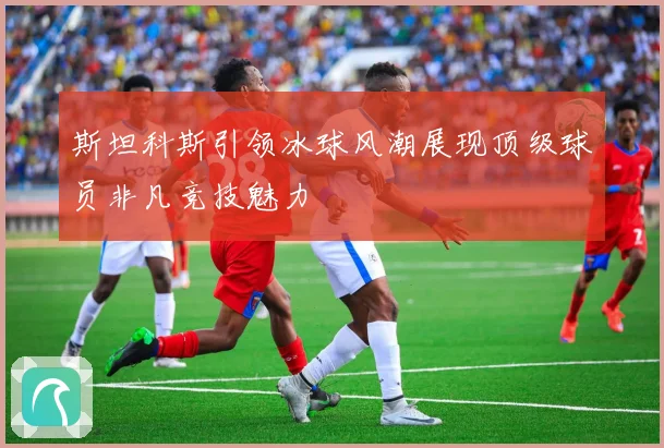 斯坦科斯引领冰球风潮展现顶级球员非凡竞技魅力