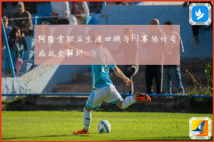 阿隆索职业生涯回顾与F1赛场传奇成就全解析